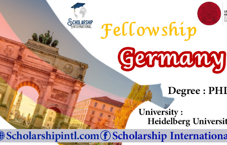 phd fellowships germany