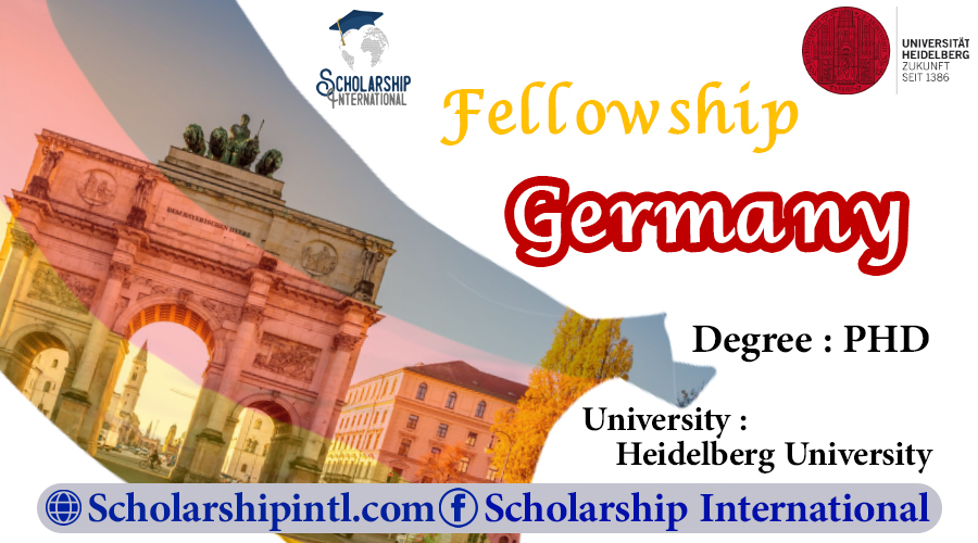 phd fellowships in germany