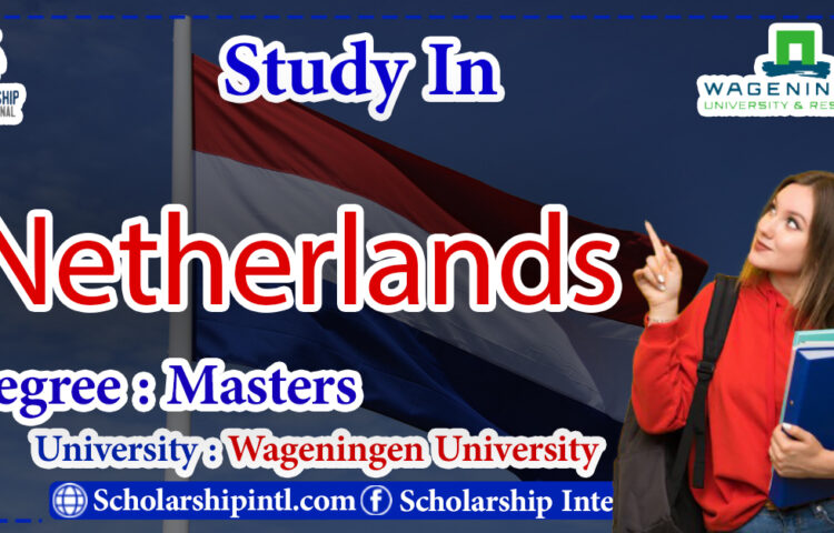 phd scholarship amount in netherlands