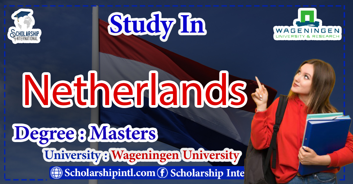 phd scholarship amount in netherlands