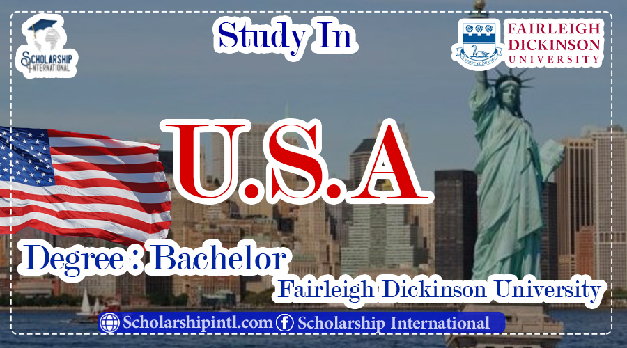 United States visual data 4