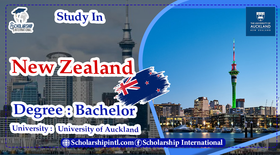 Rae Hammer Memorial Prize History Bachelor In New Zealand