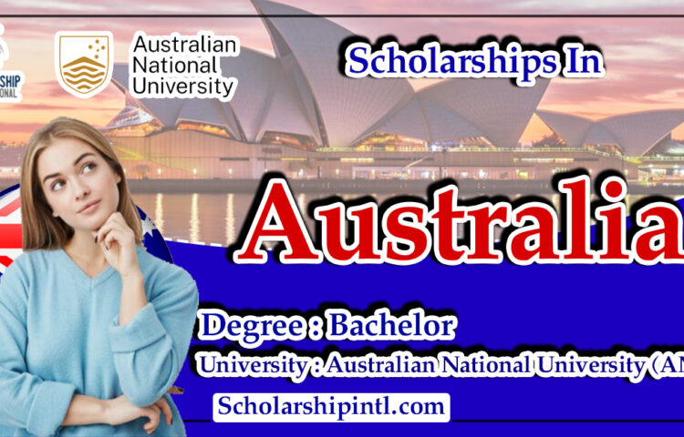 Bachelor - Scholarship International