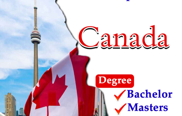 University Of Alberta Scholarships 2024 In Canada Scholarship   Canada Eng 94 750x480 