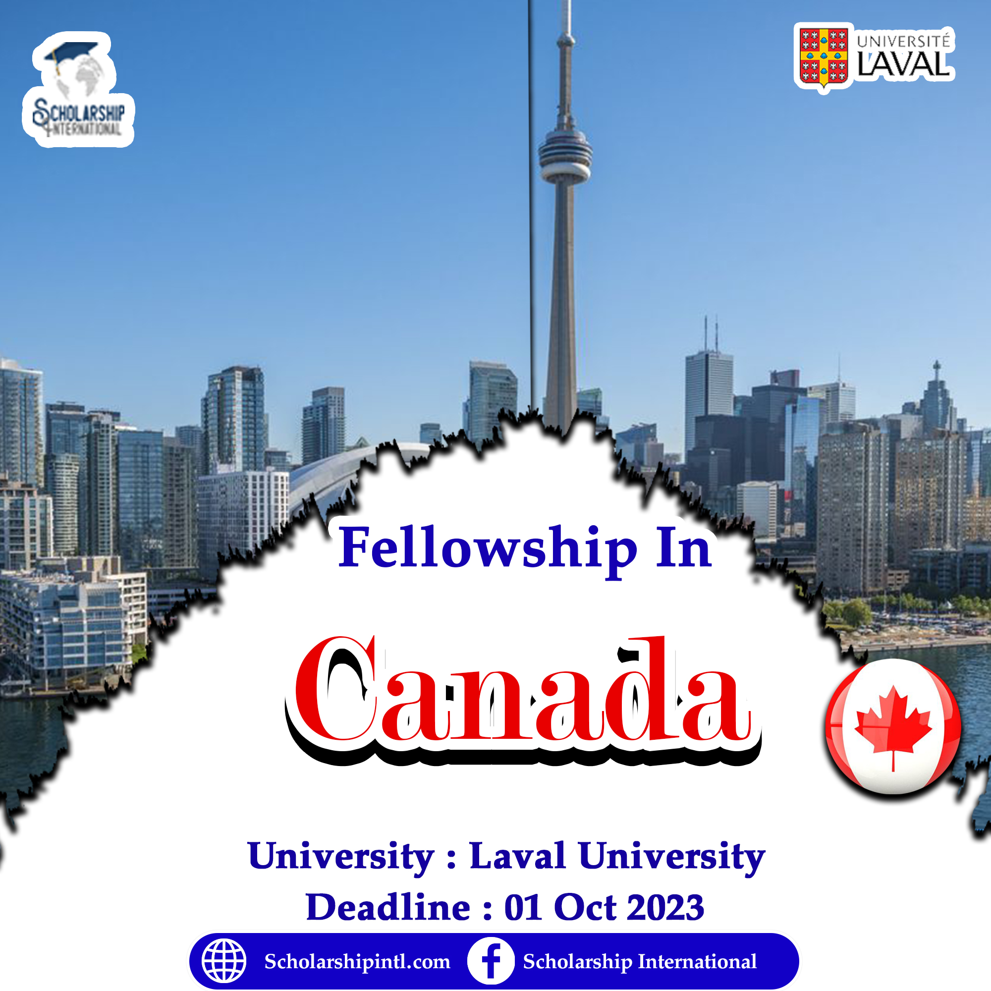 Economic And Social Rights Fellowships (Faculty Of Law) At Laval ...