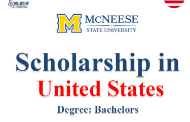 International Graduate Student Scholarship 2024