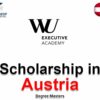 Global Executive MBA Scholarships at WU Executive Academy 2026 In Austria