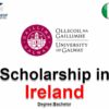 Business Postgraduate Merit Scholarships at University of Galway 2026 In Ireland